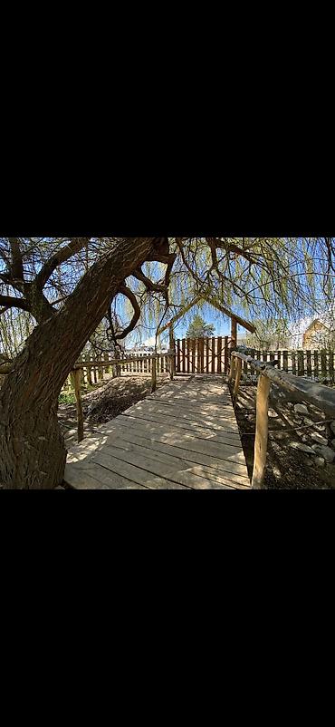 Аренда ресторанов и кафе: Сдаю кафе село Бактуу Долоноту поворот Каприз.,,на долгий срок — 16