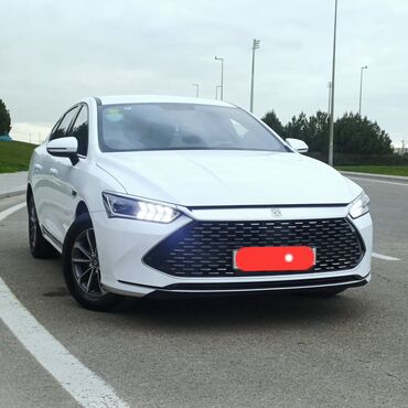 BYD: BYD Qin Plus: 1.5 l | 2024 il 78000 km Sedan — 10