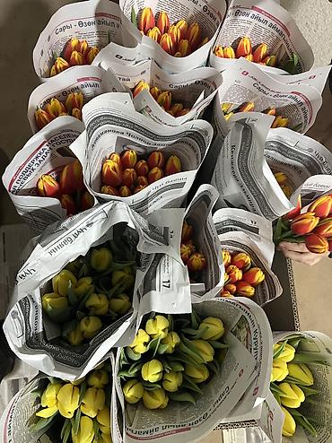 Теплицы: 🌷 Тюльпаны на продажу! Свежие, качественные, выращиваем сами. С — 2