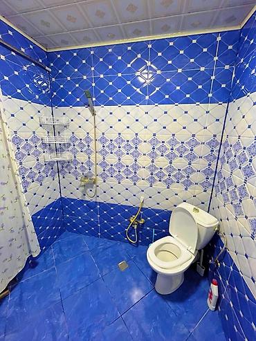 Günlük kirayə evlər: Lerik Hamarmese kendi — 9