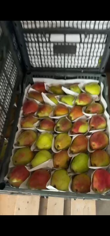 Ящики: Ящик, Новый — 11