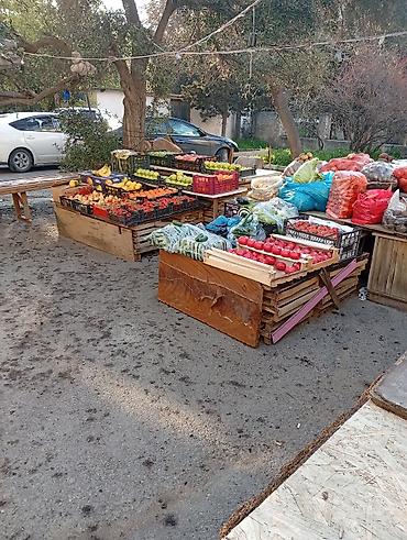 plastik gul qablari: Ağ plastik çiçək dibçəkləri – müxtəlif ölçülərdə - Material: yüngül — 4