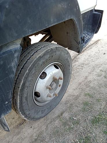 hozon neta l: Mercedes-Benz : 1994 г., 6 л, Механика, Дизель — 6