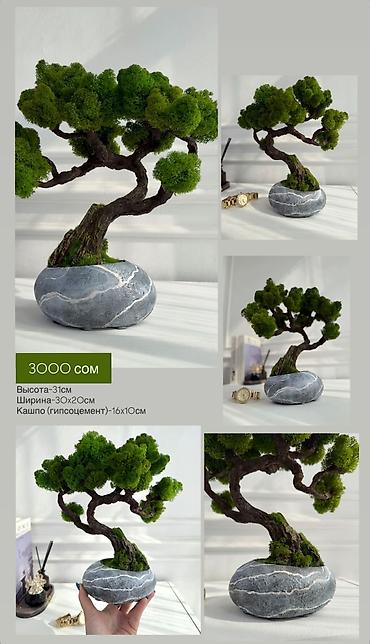 Декоративные цветы: Цены от 2500 сом( указаны на фото) В наличии и на заказ (3-7 дней) Все — 9