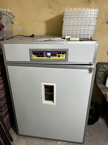 Biznes üçün avadanlıq: 1100 yumurta, Çin, Tam avtomat — 1