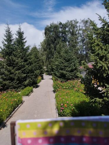 Иссык-Куль 2025: Номер, НЕПТУН Парковка, стоянка, Охраняемая территория, Футбольное поле — 7