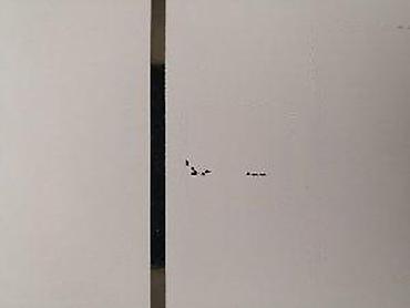 Utičnice: 🔌 PAMETNA WIFI UTIČNICA – ANDROID / iOS Smart prekidač 10A / 220V + — 13