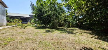 Torpaq sahələrinin satışı: 12 sot, Tikinti, Makler, Kupça (Çıxarış) — 24