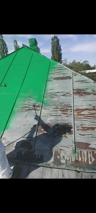 Покраска: Покраска наружных стен, На масляной основе, Больше 6 лет опыта — 25