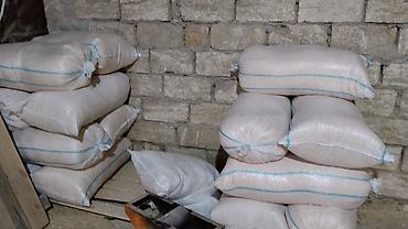 britanskiy kot: Məhsul: Quşçuluq üçün təbii ağac yonqarı (altlıq materialı) Təsvir: - — 5