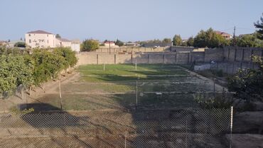 Torpaq sahələrinin satışı: 8 sot, Tikinti, Mülkiyyətçi, Kupça (Çıxarış)