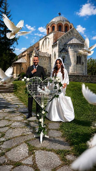 Izgubljeno-nađeno, dajem besplatno: Iznajmljivanje belih golubova za svečane prilike Ulepšajte svoj — 1