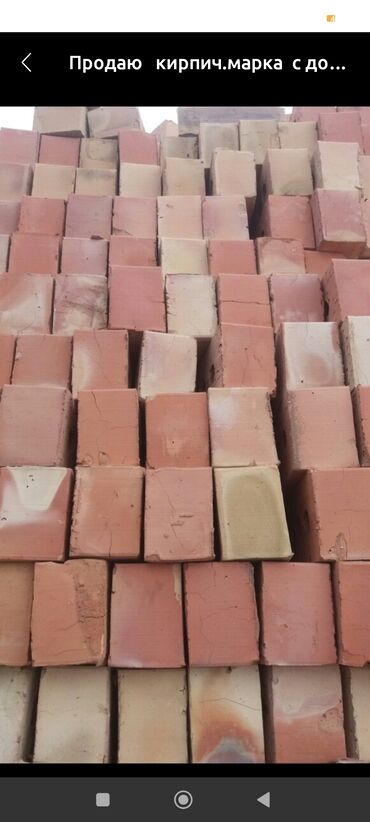 такта жыгач: Тешиктүү, Бышкан кирпич, Жарым блок, 250×120×90