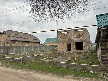 баа: 6 соток, Курулуш, Кызыл китеп — 1