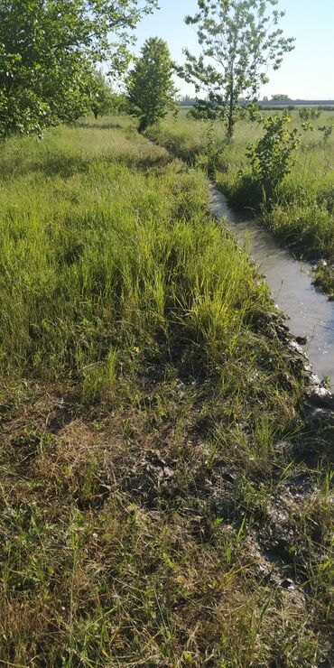 Torpaq sahələrinin satışı: 116 sot, Kənd təsərrüfatı, Barter mümkündür, Kupça (Çıxarış) -da lalafo.az — 10 Torpaq sahələrinin satışı: 116 sot, Kənd təsərrüfatı, Barter mümkündür, Kupça (Çıxarış) — 10