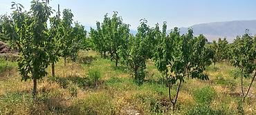 Продажа участков: 13 соток, Красная книга — 7