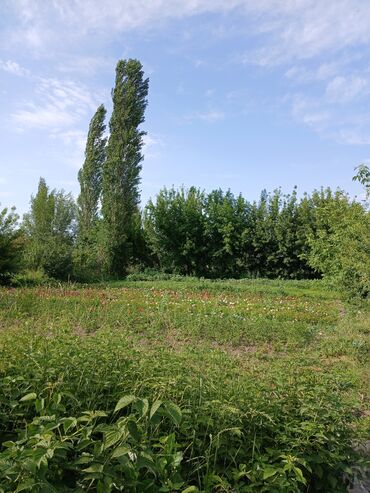 Продажа домов: Дом, 70 м², 4 комнаты, Собственник, Косметический ремонт — 7