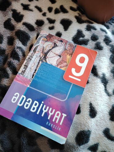 Tədris ədəbiyyatı: Kitab dəsti - Ədəbiyyat – 9-cu sinif üçün dərslik. Rəngli nəşr, mövzu