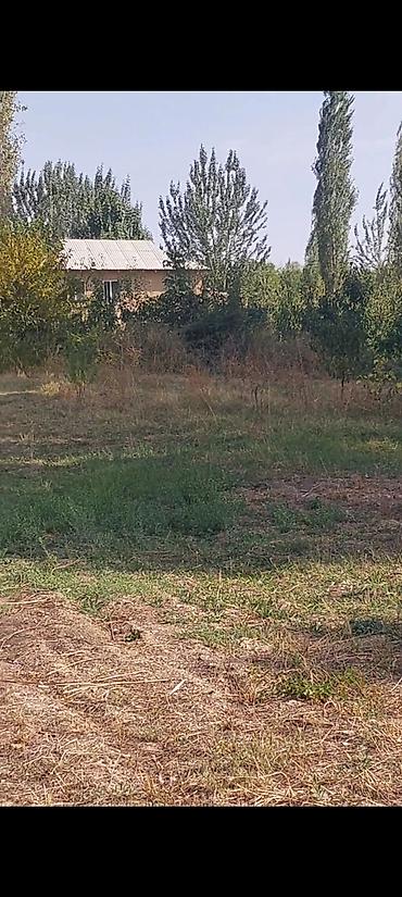 Продажа участков: 30 соток — 2