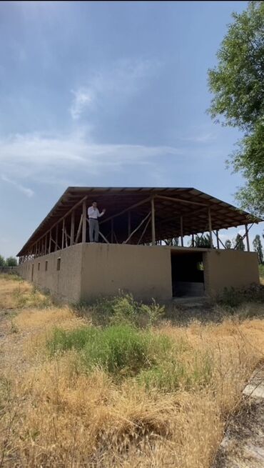 Продажа участков: 48 соток, Для бизнеса, Красная книга — 7