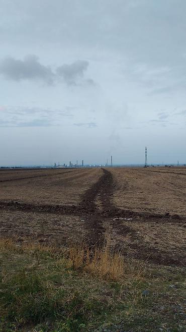 Куплю земельный участок: Продаётся хорошая поливная земля в городе карабалта возле — 1