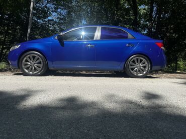 Kia: Kia Cerato: 2 l | 2009 il Sedan — 12