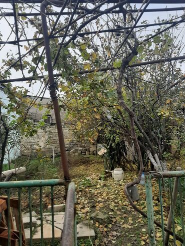 Torpaq sahələrinin satışı: 15 sot, Tikinti, Maklerlər narahat etməsin, Kupça (Çıxarış), Bələdiyyə — 5