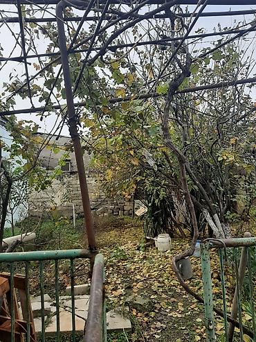 Torpaq: 13 sot, Tikinti, Maklerlər narahat etməsin, Bələdiyyə, Kupça (Çıxarış) — 5