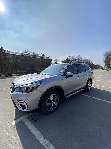 Subaru: Subaru Forester: 2019 г., Кроссовер — 15