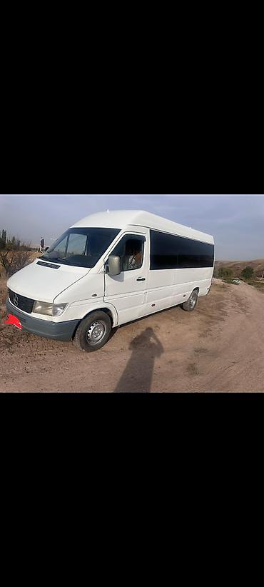 Mercedes-Benz: Mercedes-Benz Спринтер: 1998 г., Бус — 6