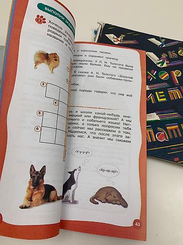 solutions upper intermediate: (Б/У) 2 Книги 3+ и рабочая тетрадь для детей 6+ (новый)
Всё оптом — 8