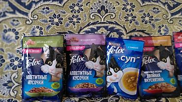 Мышыктар: Продаю миленькую пушистую девочку котёнка возраст 1.5 месяца — 9