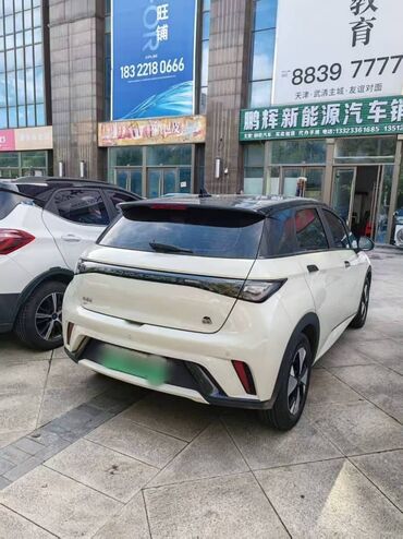 где взять авто в рассрочку: BYD Dolphin: 2024 г., Автомат, Электромобиль