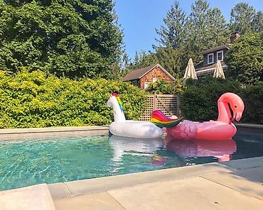 бассейн qiymetleri: Su matraslari flamingo intex — 2