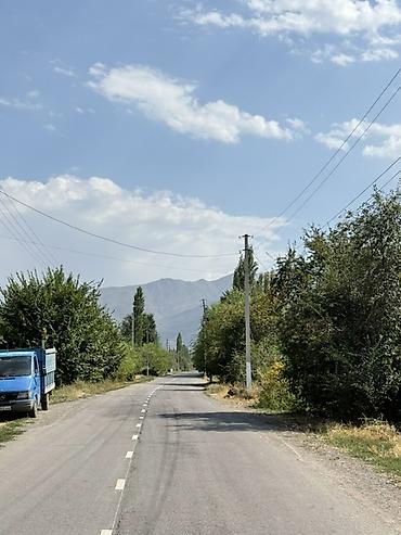 бухара ассорти: 28 соток, Для строительства, Красная книга — 7