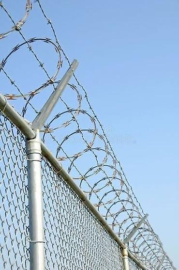 на запах: Колючая проволока Егоза, Бухта, Длина: 10 м, Диаметр: 2,5 мм, Новый — 3