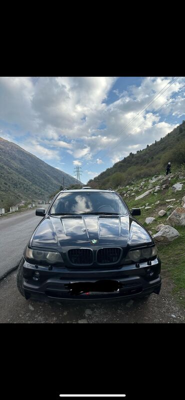 BMW: BMW X5: 2003 г., 4.6 л, Газ