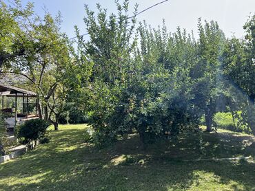 Продажа домов: Дача, 10 м², 6 комнат, Собственник, Старый ремонт — 16