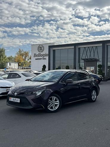 levin: Toyota Corolla: 2020 г., 1.8 л, Вариатор, Гибрид, Седан — 3