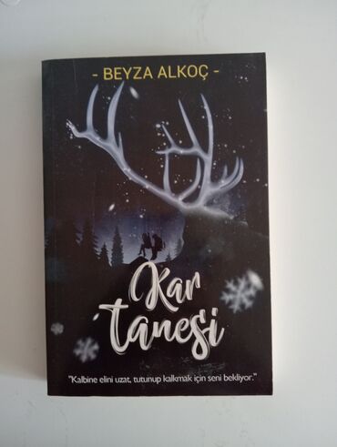 kitab rəf: "Kar Tanesi" romanı, Beyza Alkoçun qələmindən çıxmış, sevgi və