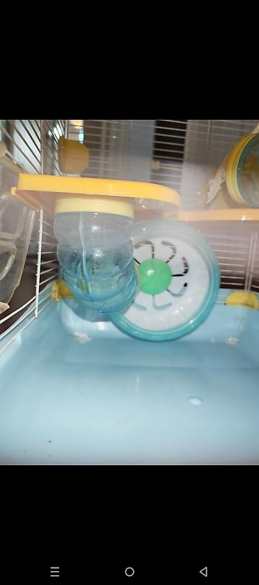 Зоотовары: Dəbilqəli hamster üçün çoxmərtəbəli qəfəs dəsti - Rənglər: açıq mavi — 3
