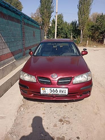 nissan sylphy ev: Nissan Almera: 2001 г., 1.5 л, Механика, Бензин, Хэтчбэк — 1
