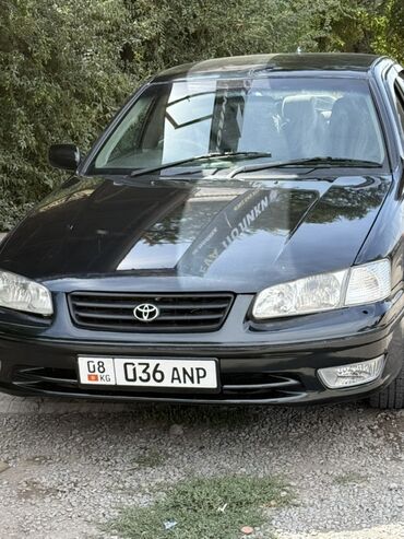 купить накидку на машину: Toyota Camry: 2001 г., 2.2 л, Автомат, Бензин, Седан