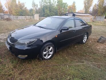 тойота авенсис старый кузов: Toyota Camry: 2003 г., 3 л, Автомат, Газ, Седан