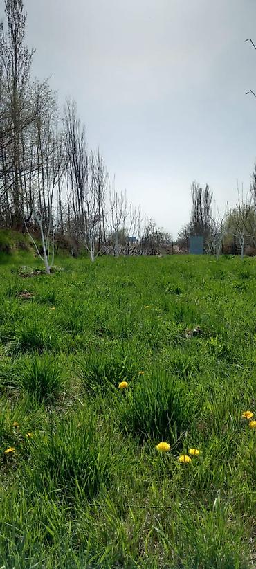 Продажа коттеджей и домов: 🏡Продаётся дом с участком в живописном селе Кара-Ой, на побережье — 12