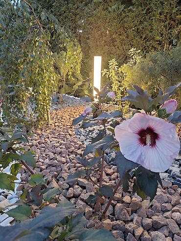 Ремонт под ключ: АВТОПОЛИВ и ОЗЕЛЕНЕНИЕ Ландшафтный дизайн ### Вашего — 18