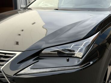 Lexus: Lexus NX: 2019 г., 2.5 л, Вариатор, Гибрид, Кроссовер — 15