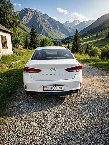Hyundai Sonata: 2017 г., 2 л, Автомат, Бензин, Седан