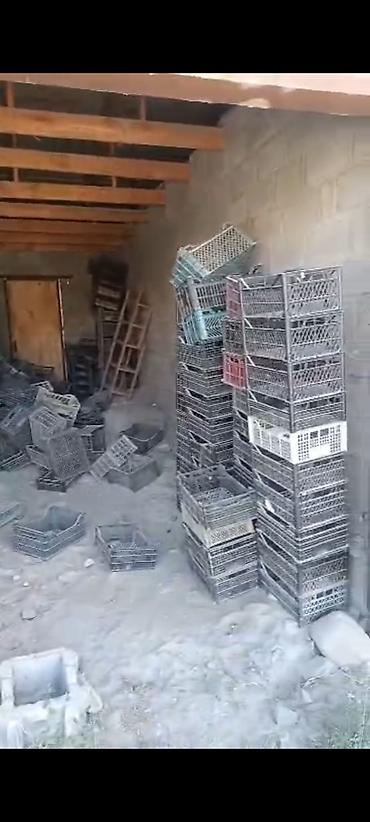 Отдам пластиковые ящики за 2 литра молока