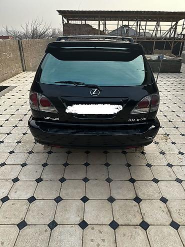 Lexus: Lexus RX: 2001 г., 3 л, Автомат, Бензин, Кроссовер — 6